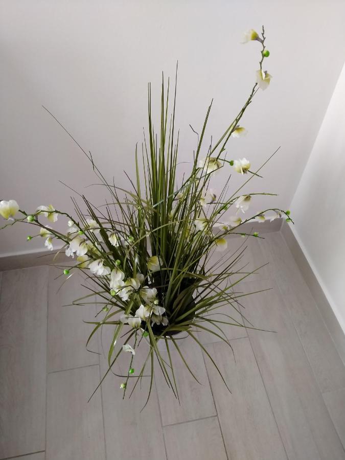 Apartman Avsec คิร์ก ภายนอก รูปภาพ